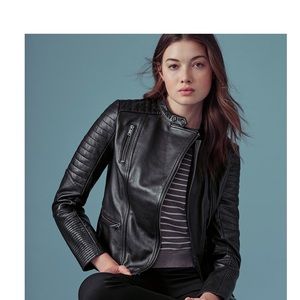 Wilsons Moto Leather Jacket
